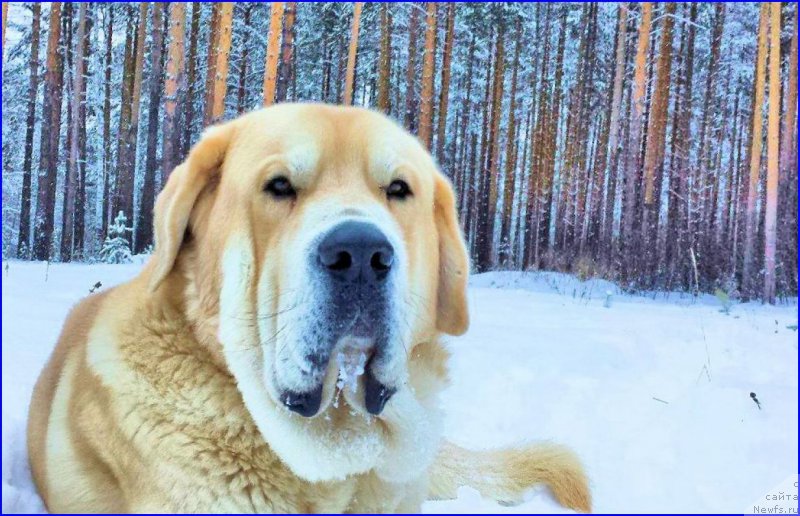 Фотография № 173484