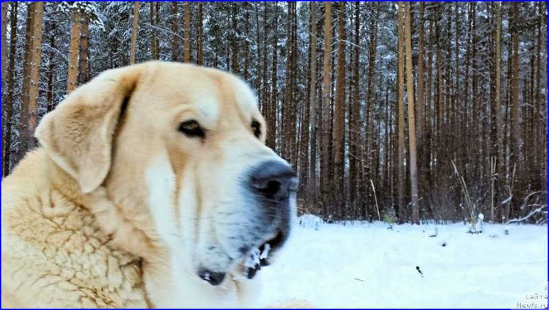 Фотография № 173486