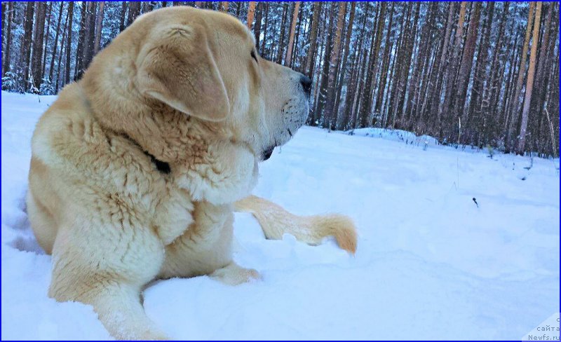 Фотография № 173487