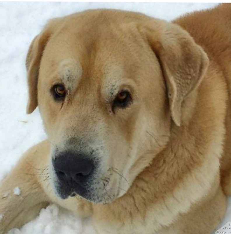 Фотография № 173491