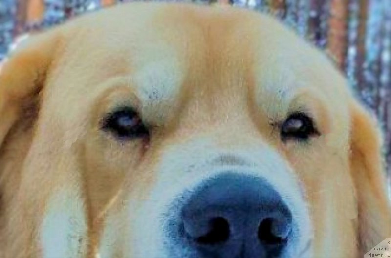 Фотография № 173493