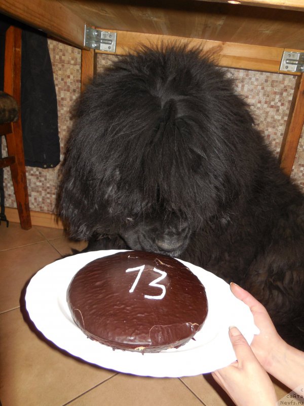 Фотография № 173545