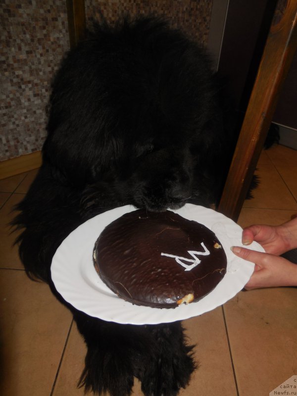 Фотография № 173547