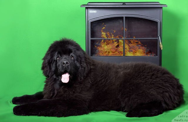 Фотография № 173549