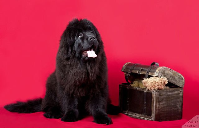 Фотография № 173552