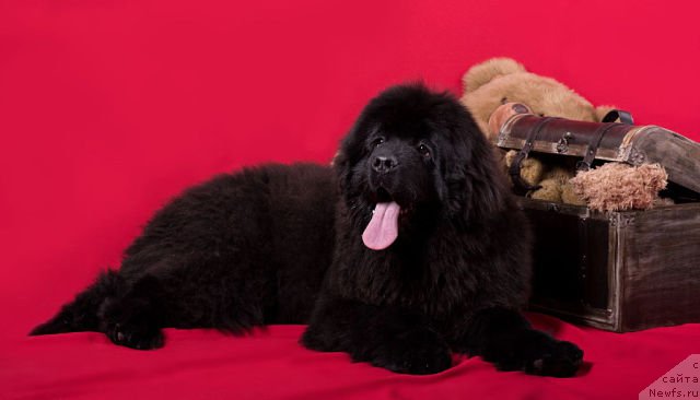 Фотография № 173554