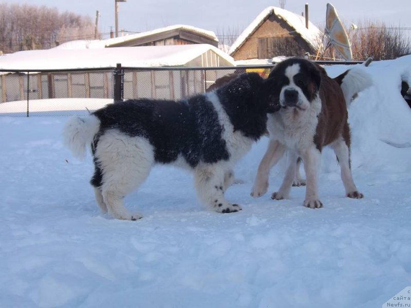 Фотография № 173561