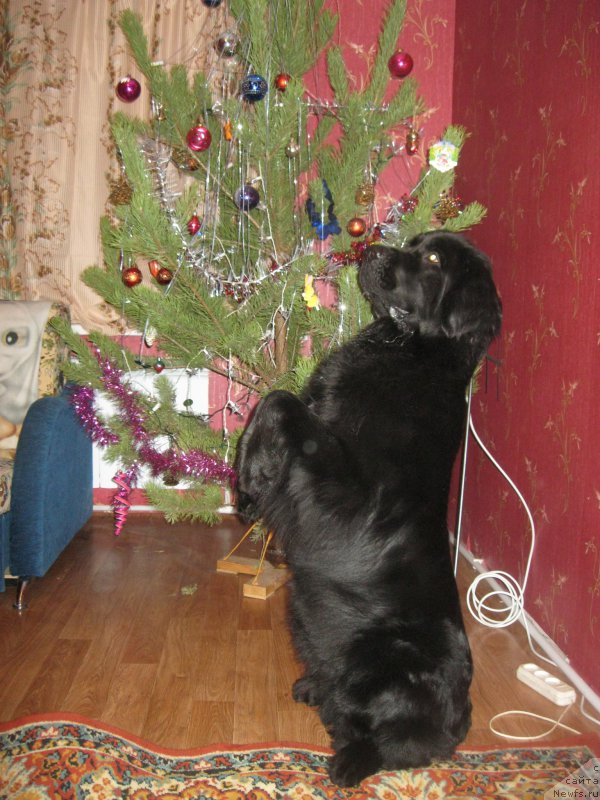 Фотография № 173593