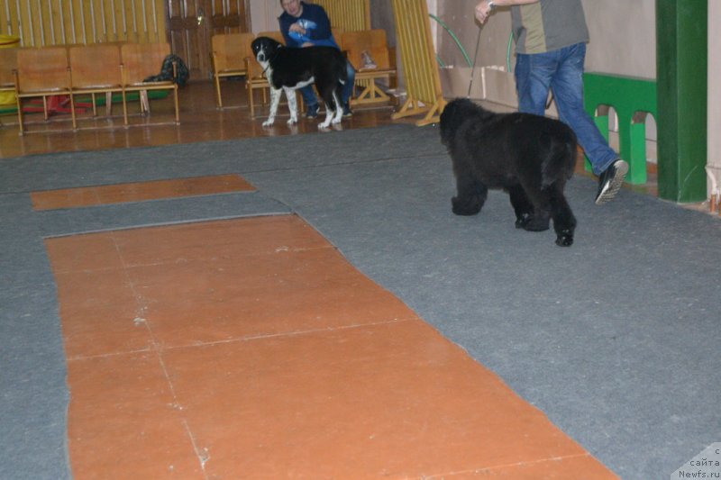 Фотография № 173602