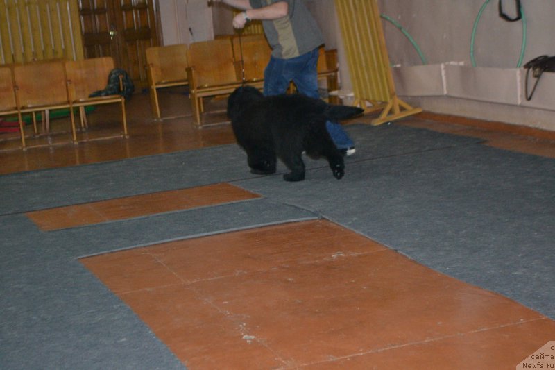 Фотография № 173603