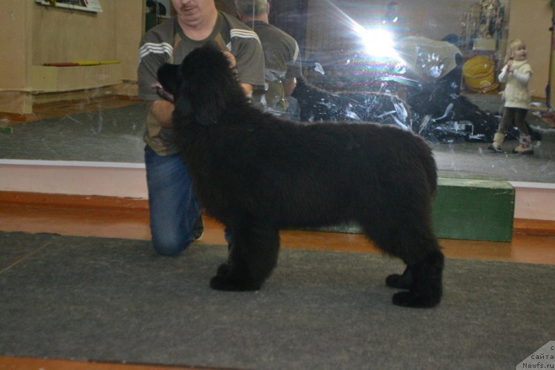 Фотография № 173606