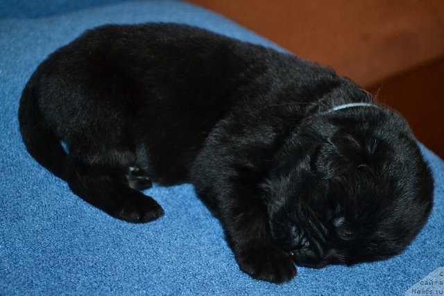 Фотография № 173608