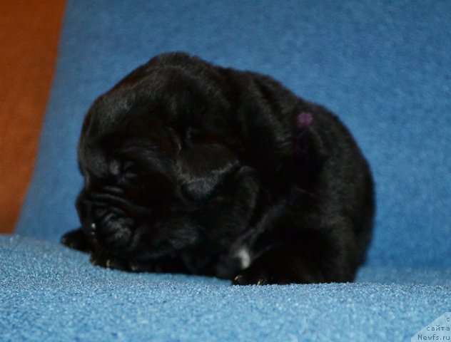 Фотография № 173610