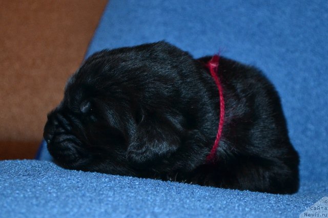 Фотография № 173612