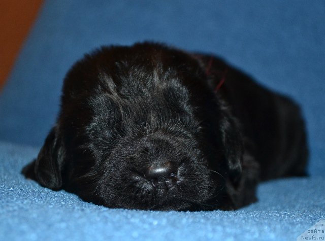 Фотография № 173613