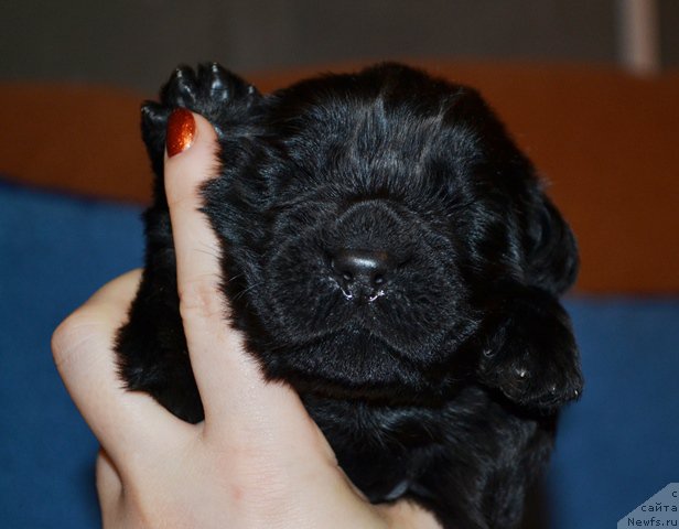 Фотография № 173614