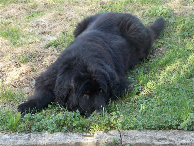 Фотография № 173618