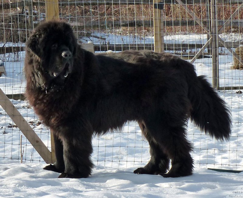 Фотография № 173622