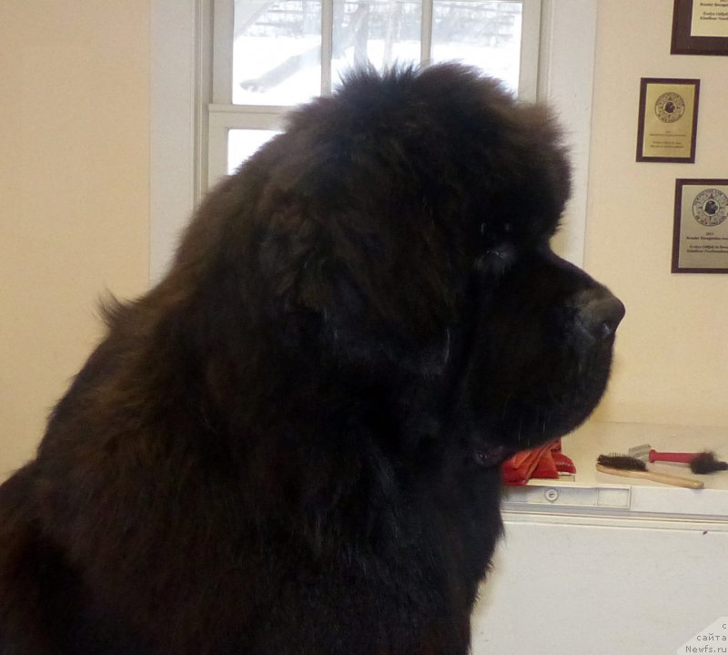 Фотография № 173624