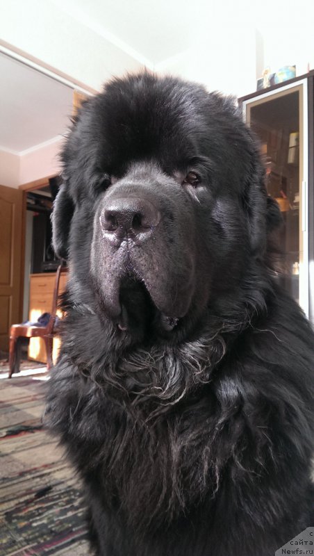 Фотография № 173625