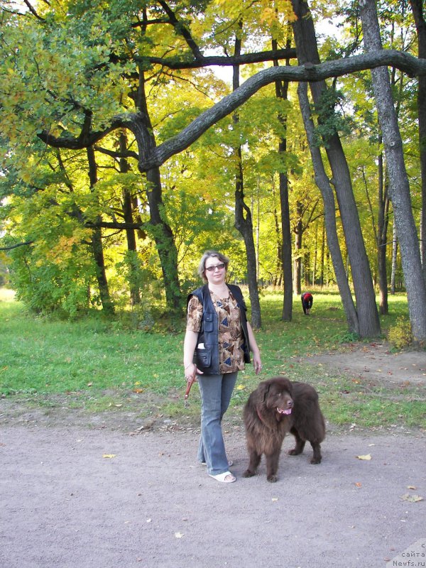 Фото: ньюфаундленд Петер-Беар Лайма Прайд, Екатерина Бенкен