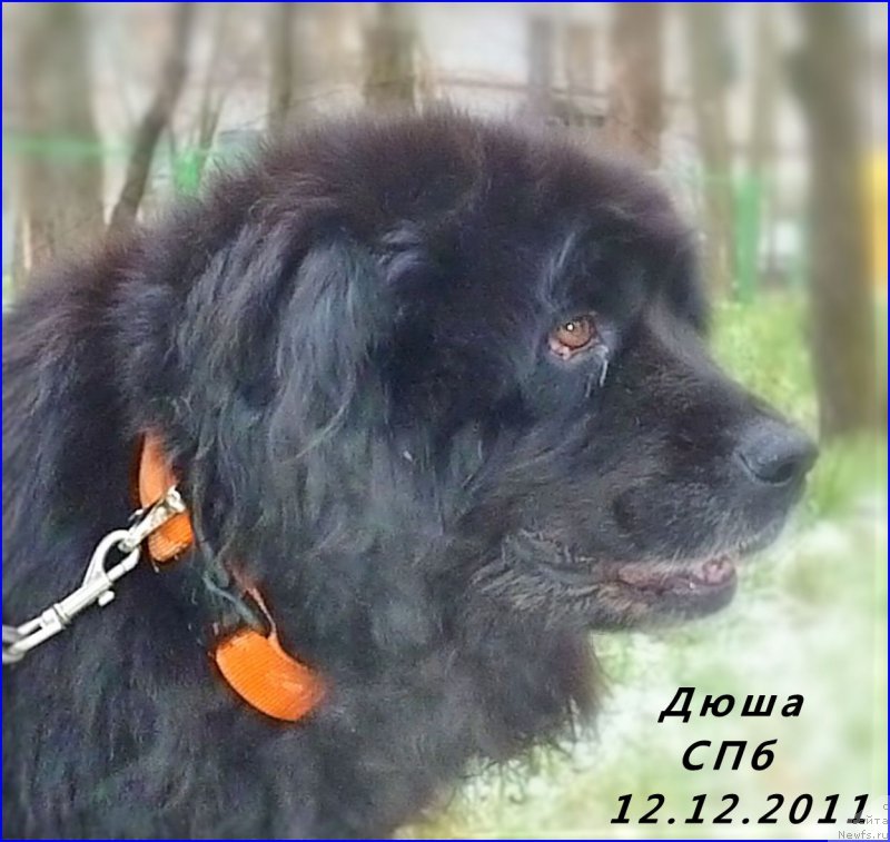 Фотография № 173661