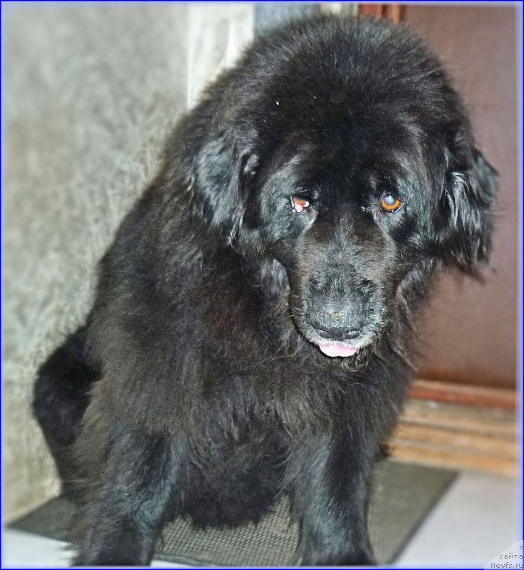 Фотография № 173663