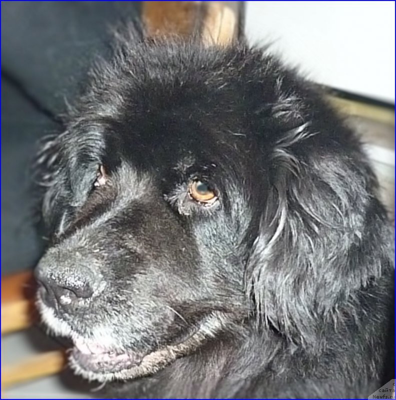 Фотография № 173667