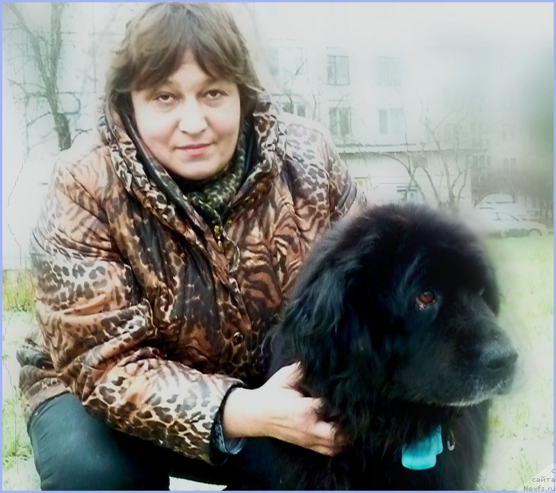 Фотография № 173671