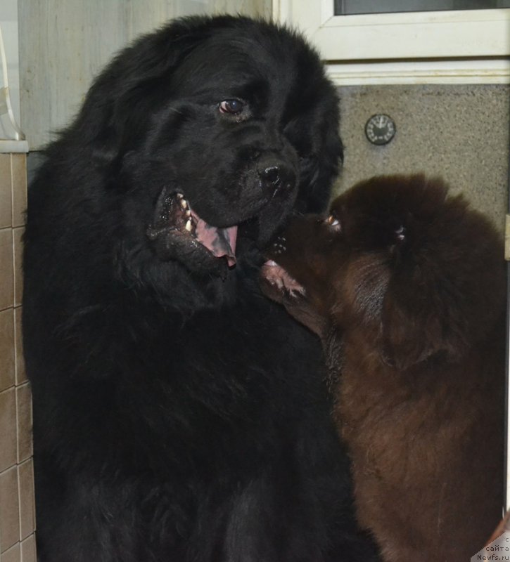 Фотография № 173685