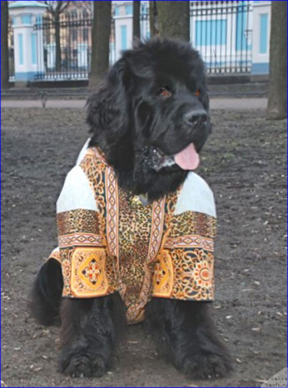 Фотография № 173741