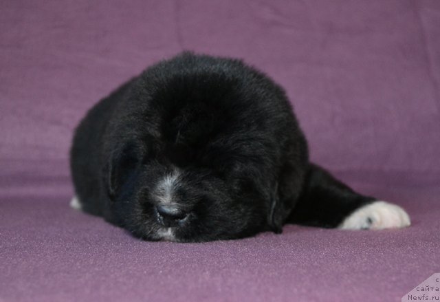 Фотография № 173752