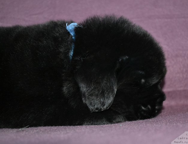 Фотография № 173756