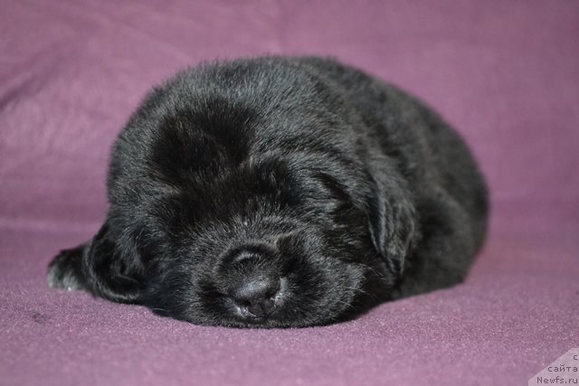 Фотография № 173761