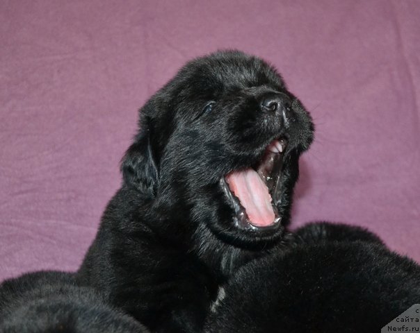 Фотография № 173766