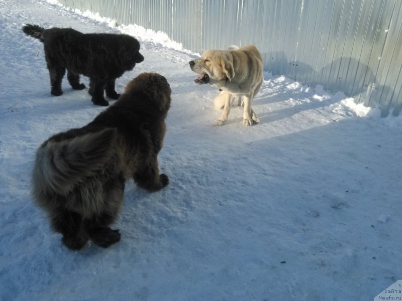 Фотография № 173781