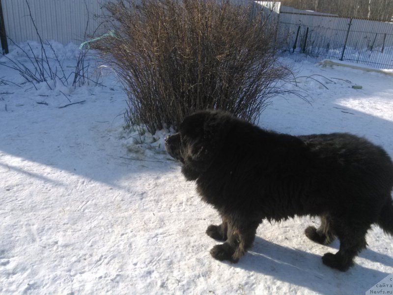 Фотография № 173785