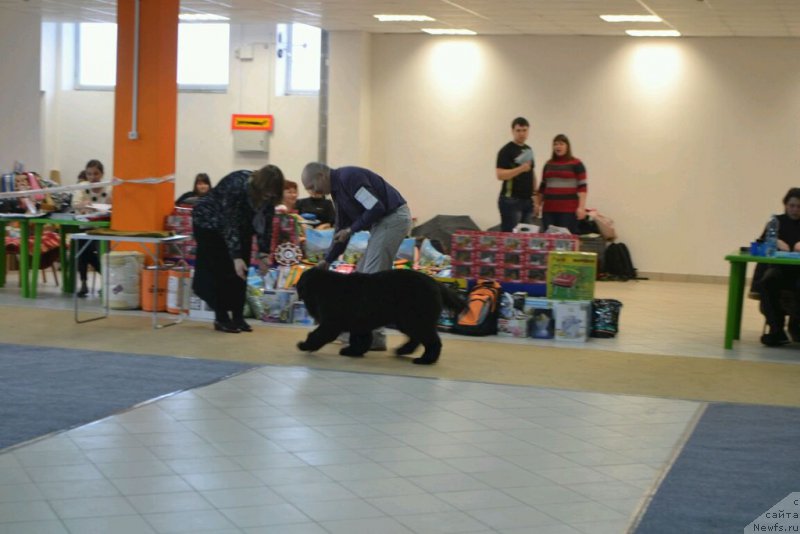 Фотография № 173798