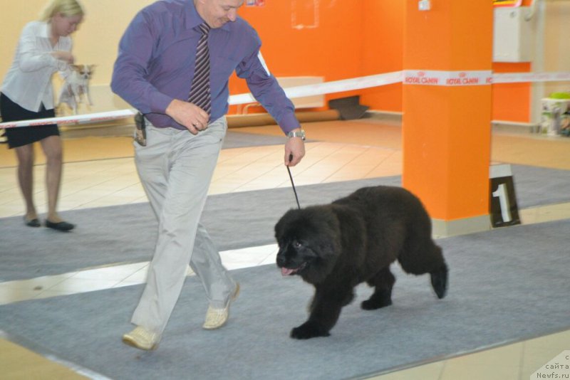 Фотография № 173799