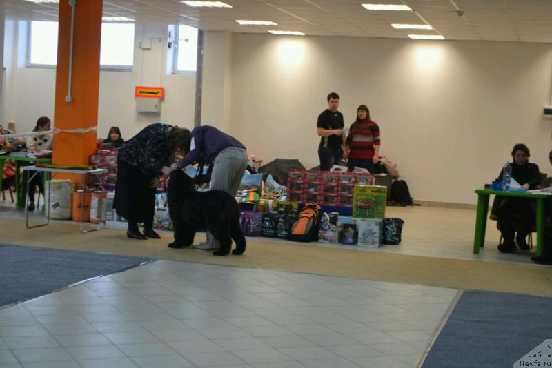 Фотография № 173801