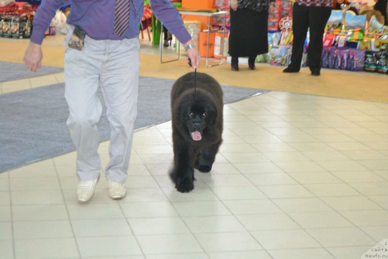 Фотография № 173802