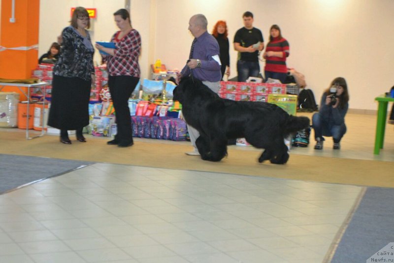 Фотография № 173804