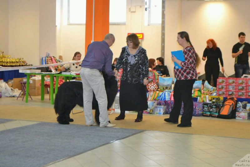 Фотография № 173805