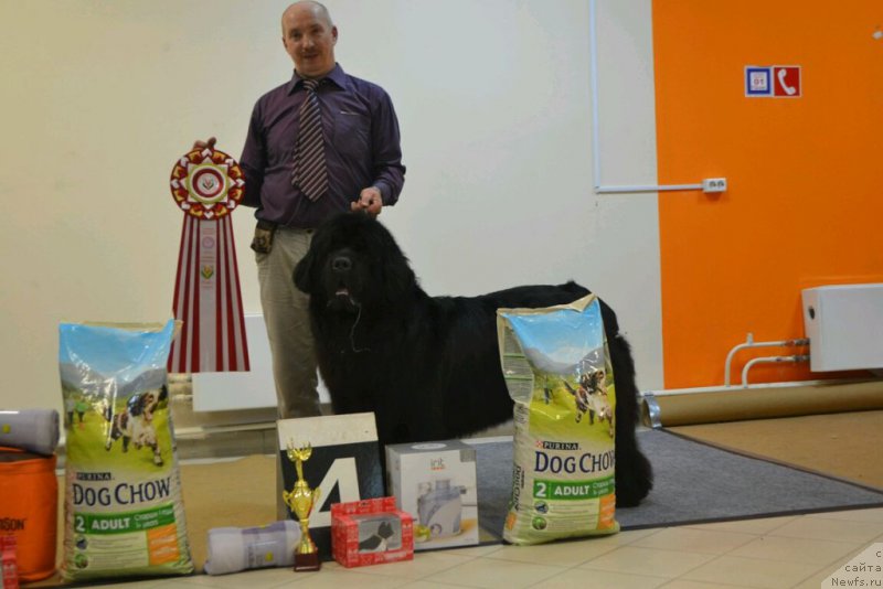 Фотография № 173806