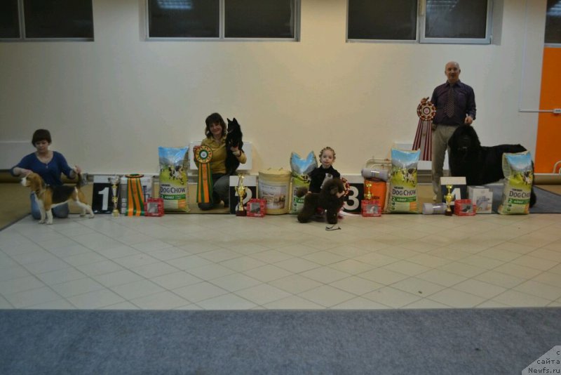 Фотография № 173809