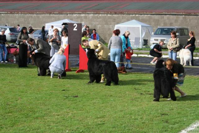 Фотография № 17381