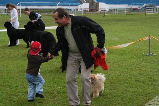 Фотография № 17383