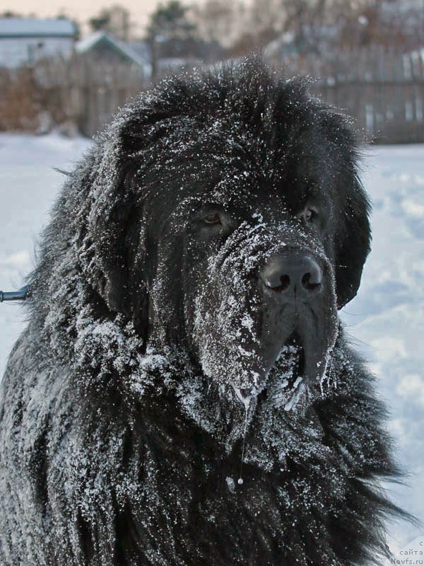 Фотография № 173830