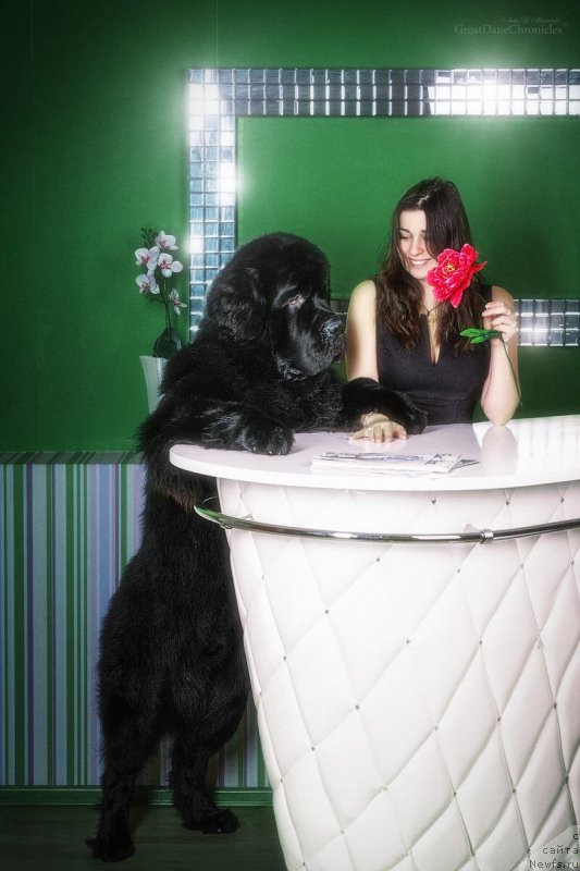 Фотография № 173858