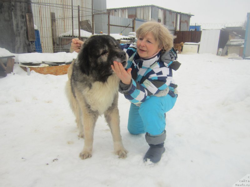 Фотография № 173859